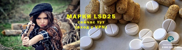 ГАЛЛЮЦИНОГЕННЫЕ ГРИБЫ Заводоуковск