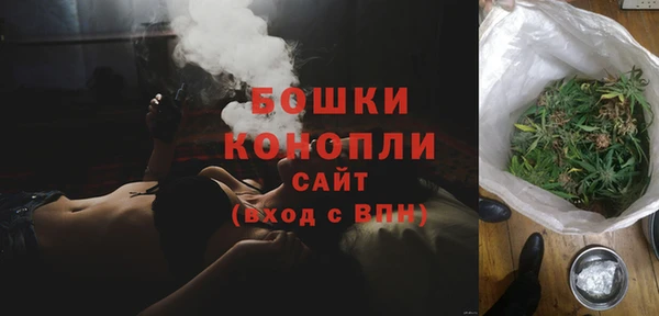 ГАЛЛЮЦИНОГЕННЫЕ ГРИБЫ Заводоуковск