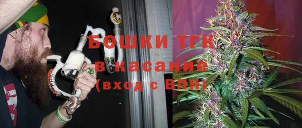 ГАЛЛЮЦИНОГЕННЫЕ ГРИБЫ Заводоуковск
