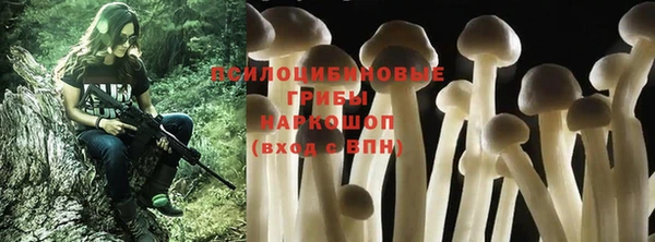 ГАЛЛЮЦИНОГЕННЫЕ ГРИБЫ Заводоуковск