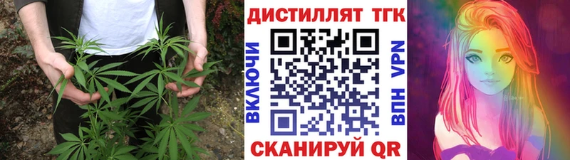 Купить закладки  Олёкминск  ТГК концентрат 