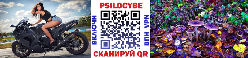 Купить  Олёкминск  Псилоцибиновые грибы Magic Shrooms 